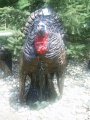 Turky 2